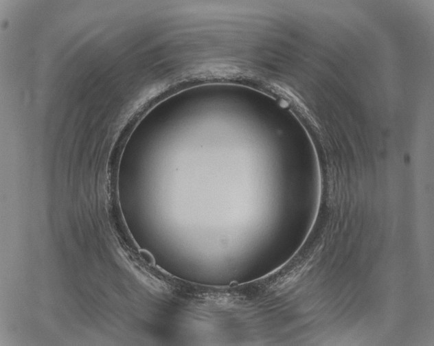 X0000063480439200601231351