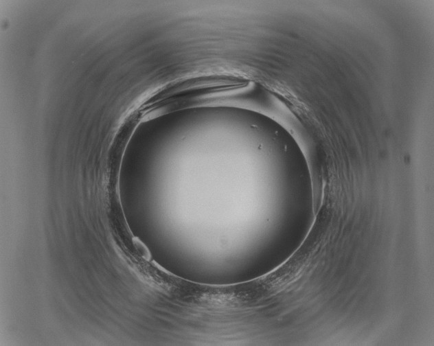 X0000063480440200601231351