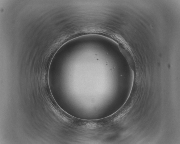 X0000063480441200601231351