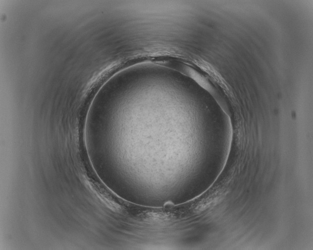 X0000063480442200601231351