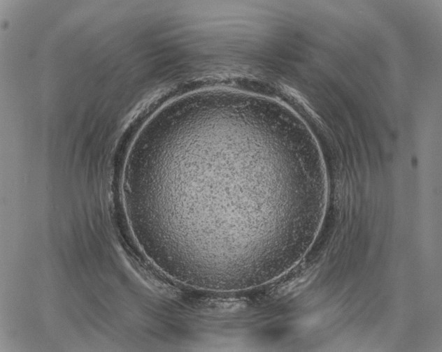 X0000063480443200601231351