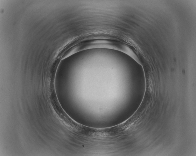 X0000063480444200601231351