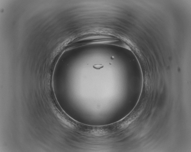 X0000063480445200601231351