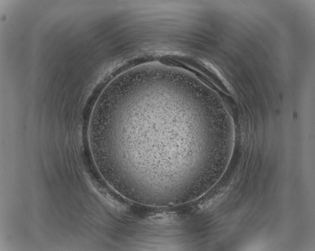 X0000063480447200601231351