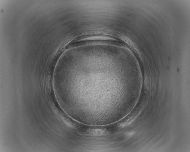 X0000063480449200601231351