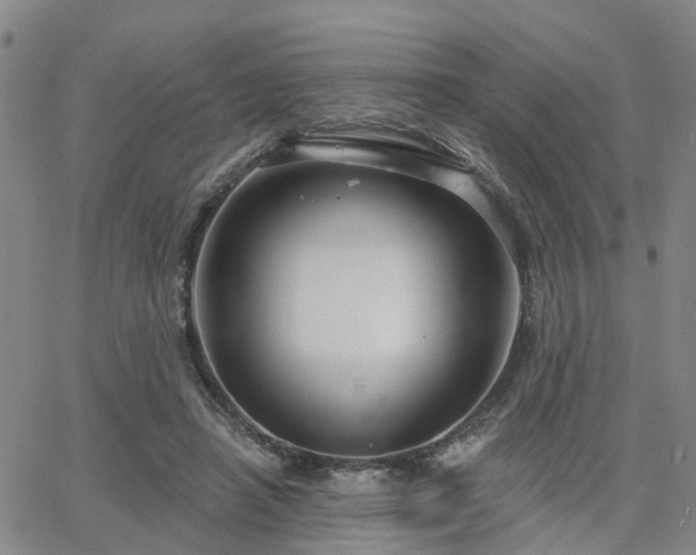 X0000063480450200601231351