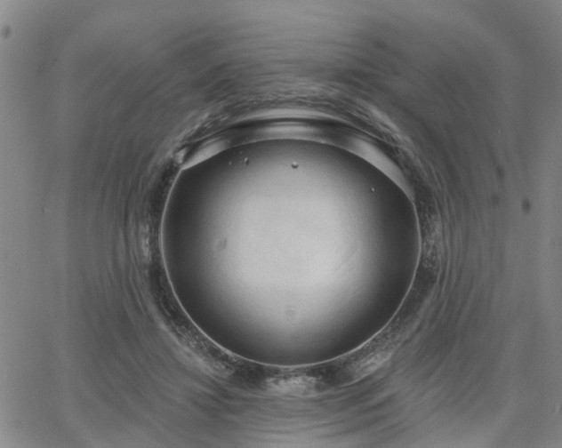 X0000063480452200601231351