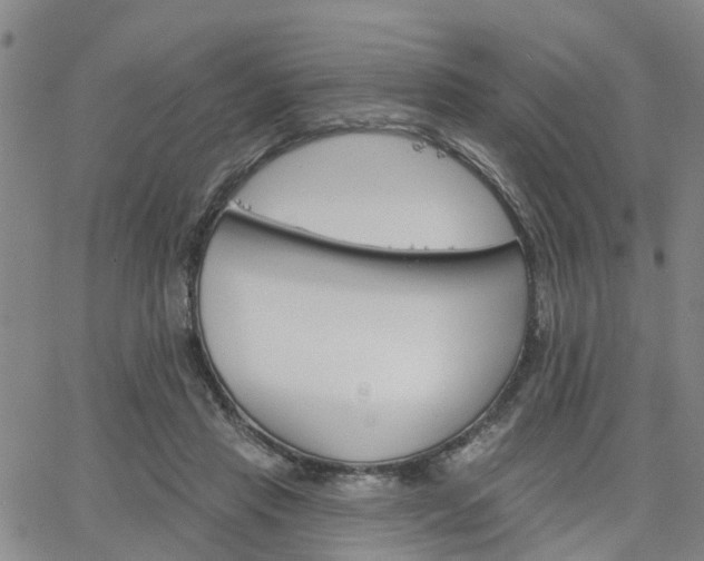 X0000063480453200601231351