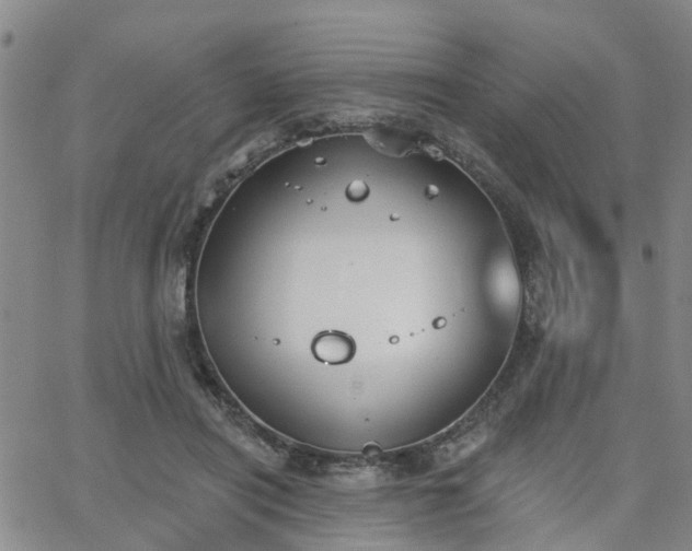 X0000063480454200601231351