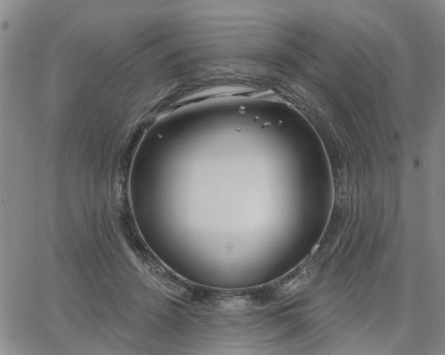 X0000063480456200601231351