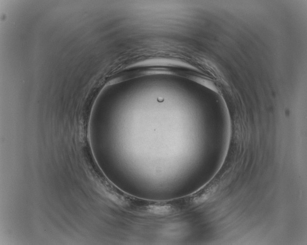 X0000063480457200601231351