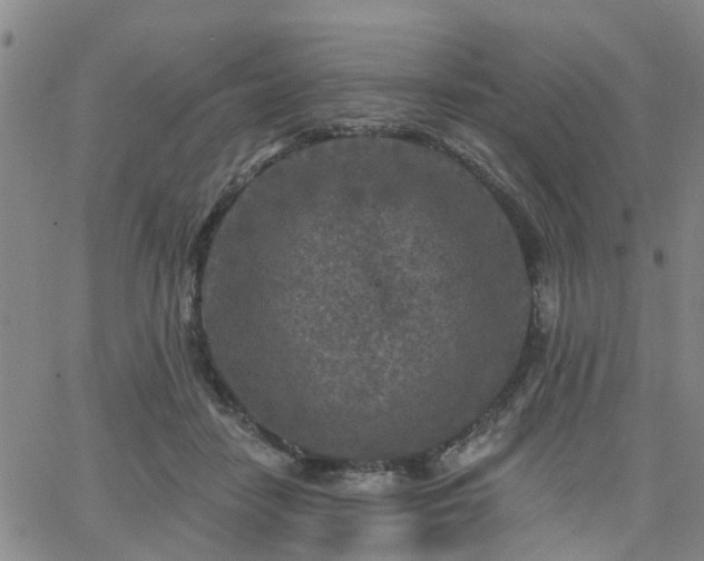 X0000063480458200601231351