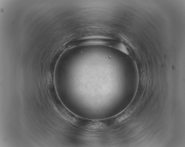 X0000063480459200601231351