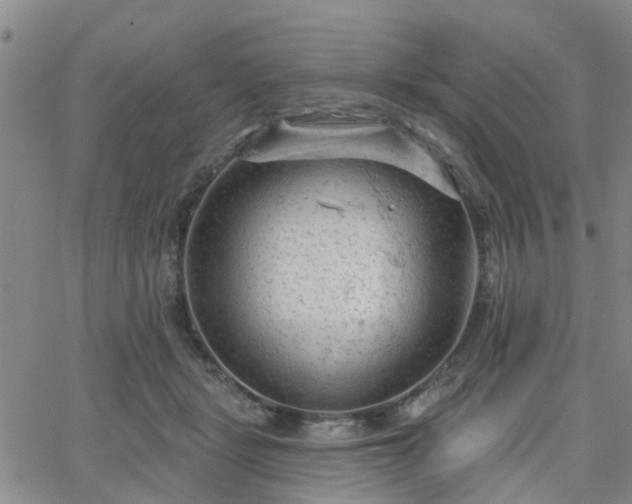 X0000063480461200601231351