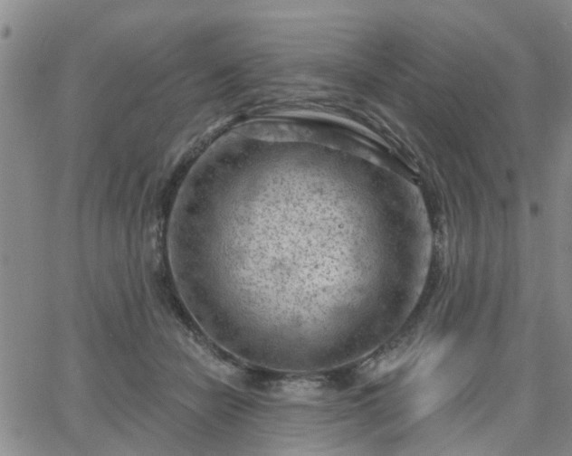 X0000063480462200601231351