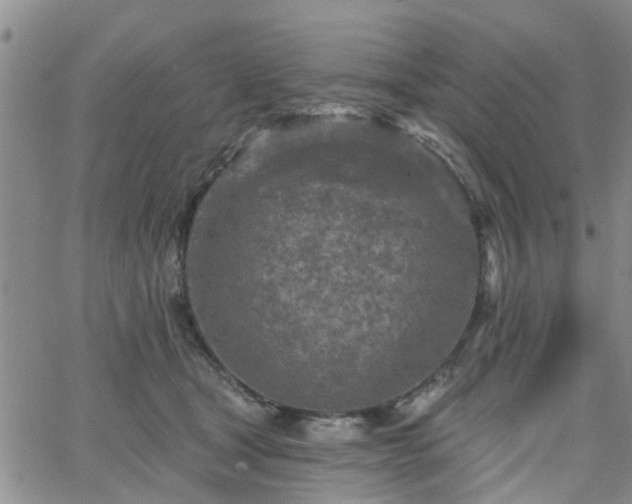 X0000063480465200601231351