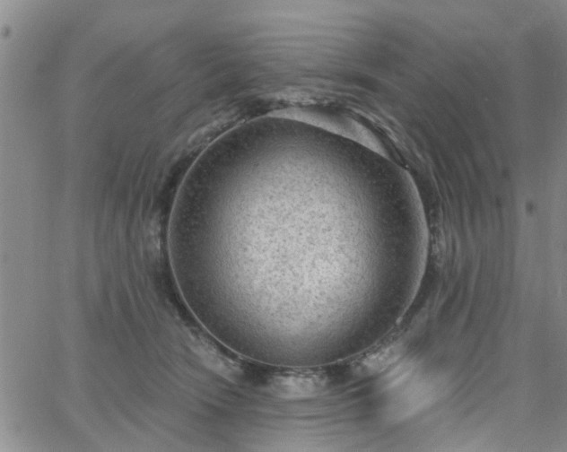 X0000063480466200601231351