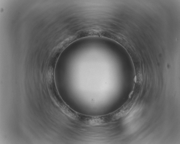 X0000063480468200601231351