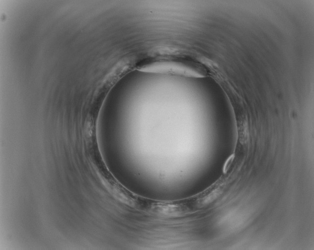 X0000063480472200601231351