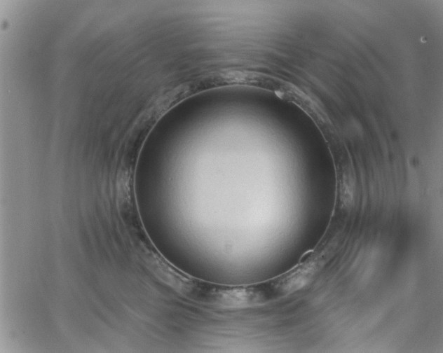 X0000063480473200601231351