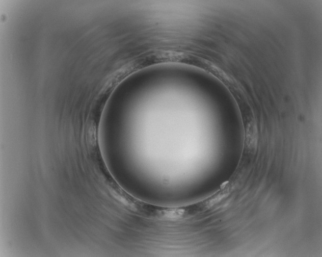 X0000063480474200601231351