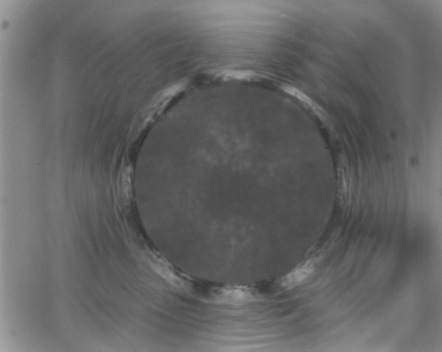 X0000063480475200601231351