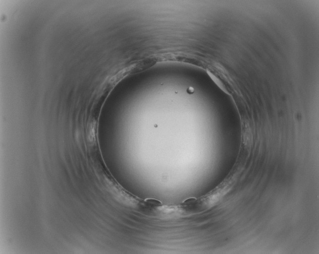 X0000063480477200601231351