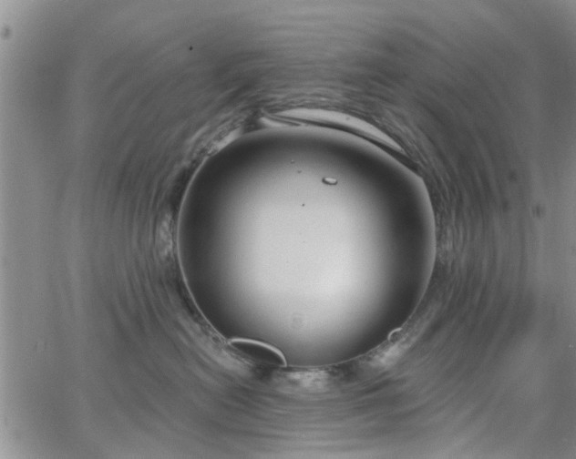 X0000063480478200601231351