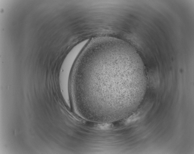 X0000063480479200601231351