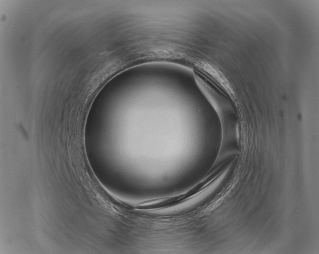 X0000063480481200601231351