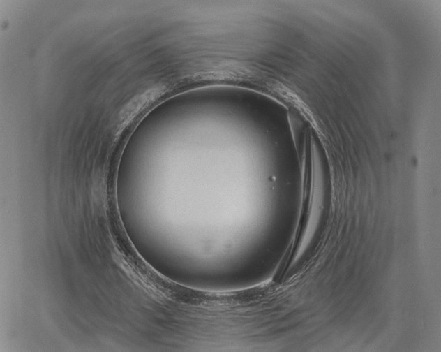 X0000063480482200601231351