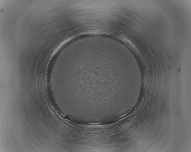 X0000063480484200601231351