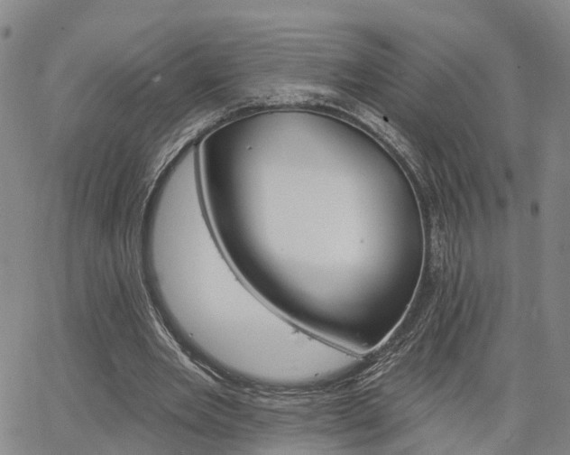 X0000063480485200601231351