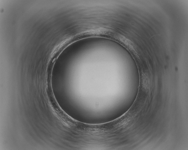 X0000063480486200601231351