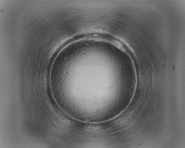 X0000063480487200601231350