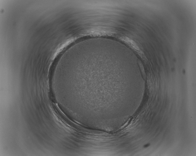 X0000063480488200601231350