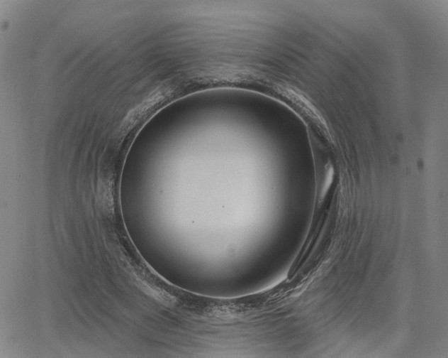 X0000063480489200601231350