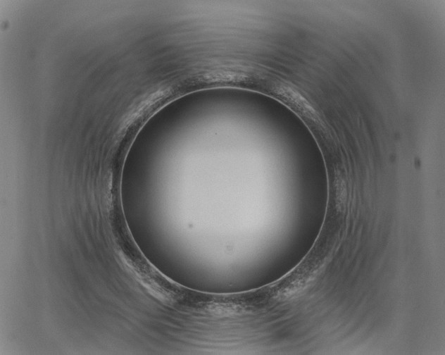 X0000063480490200601231350