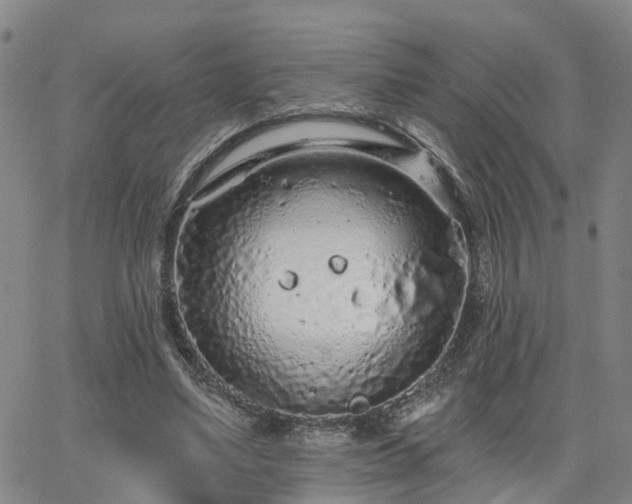 X0000063480491200601231350