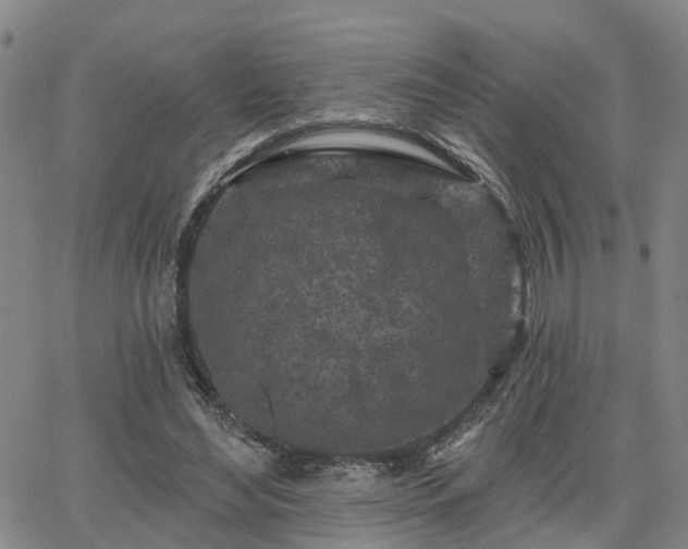 X0000063480492200601231350