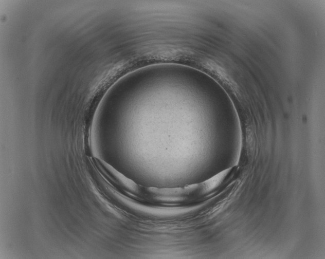 X0000063480493200601231350