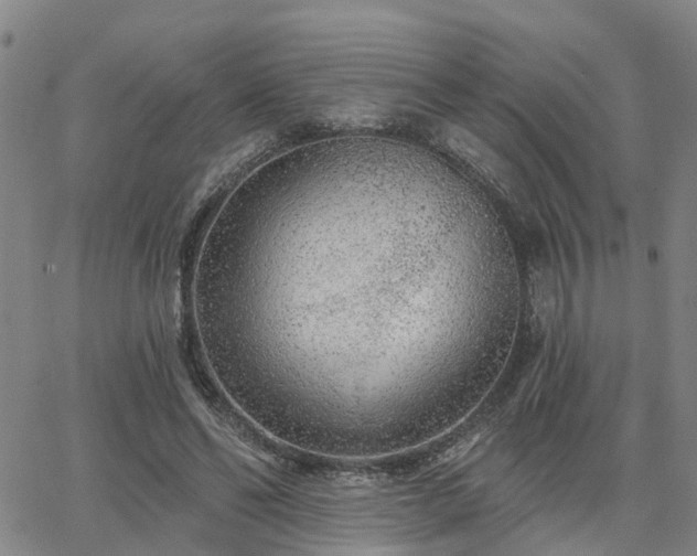 X0000063480494200601231350