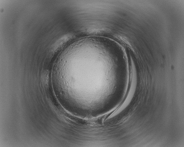 X0000063480495200601231350