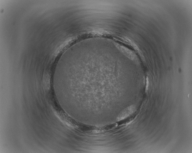 X0000063480496200601231350