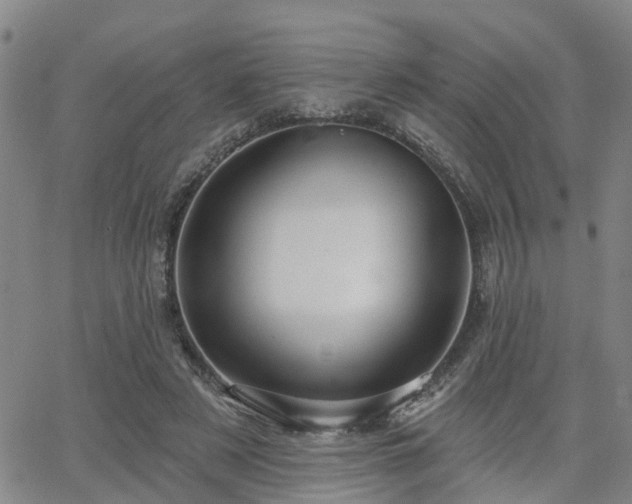 X0000063480497200601231350