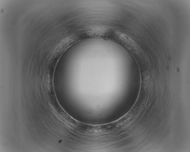 X0000063480498200601231350