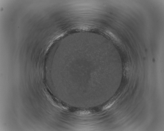 X0000063480500200601231350