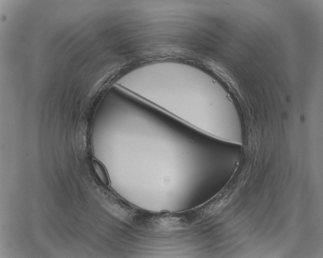 X0000063480501200601231350