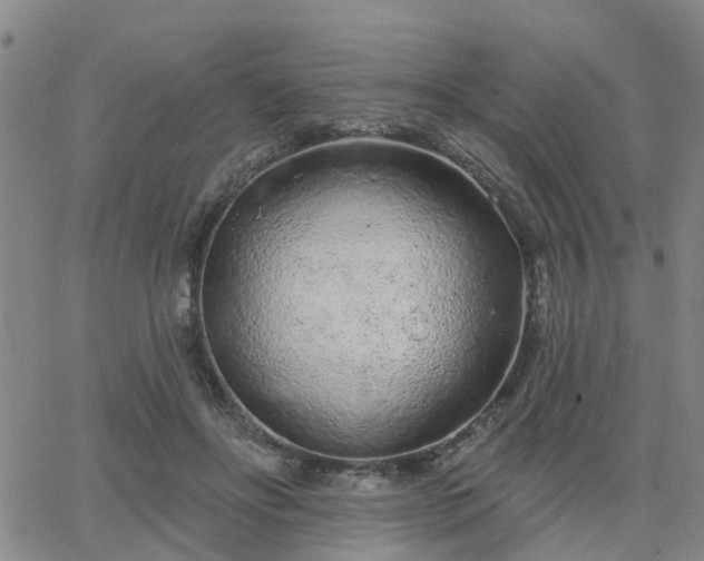 X0000063480502200601231350