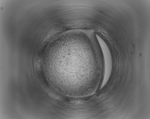 X0000063480503200601231350